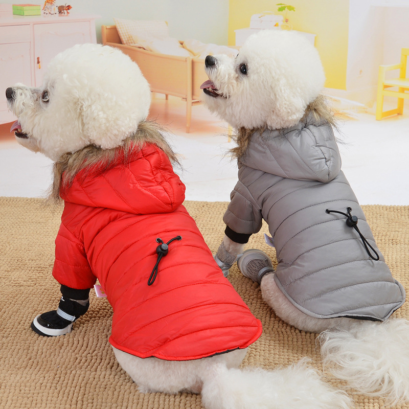 秋/冬シーズン暖かい綿コート小型犬ビションフリーゼポメラニアンテディ犬服冬|undefined