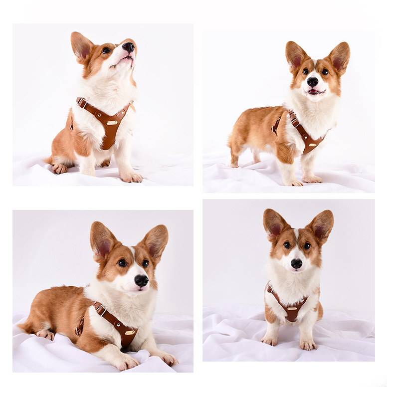 Loudik Wholesale Soft Leather Dog Pet Chest Strap Leash Dog Walking Leash Corgi Small and Medium Dogs Cross Border
