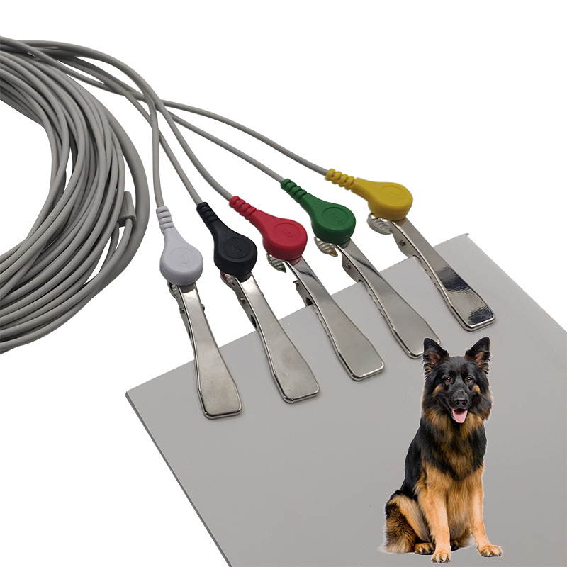 Kangtai universal veterinary ECG machine nickel plated limb clip ECG limb sandwich electrode clip factory wholesale