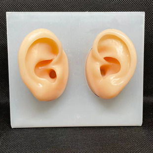 Fake Ear Model Soft Silicone Ear Ear Simulation Ear Stud Headset Medical Props Teaching Display Factory Outlet