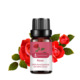 Single side: Rose Rose 10ml