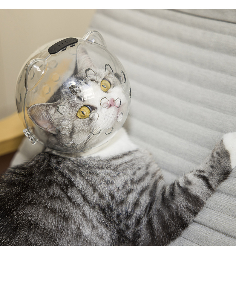 Cat Anti-bite Clipping Nail Anti-scratch Anti-lick Sterilization Mouth Supplies Pet Cat Headgear Cat Space Hood Wholesale