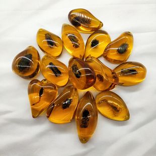 Genuine goods insect Amber wholesale factory wholesale boutique real insect amber specimen