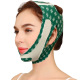 047 Mask Green Print