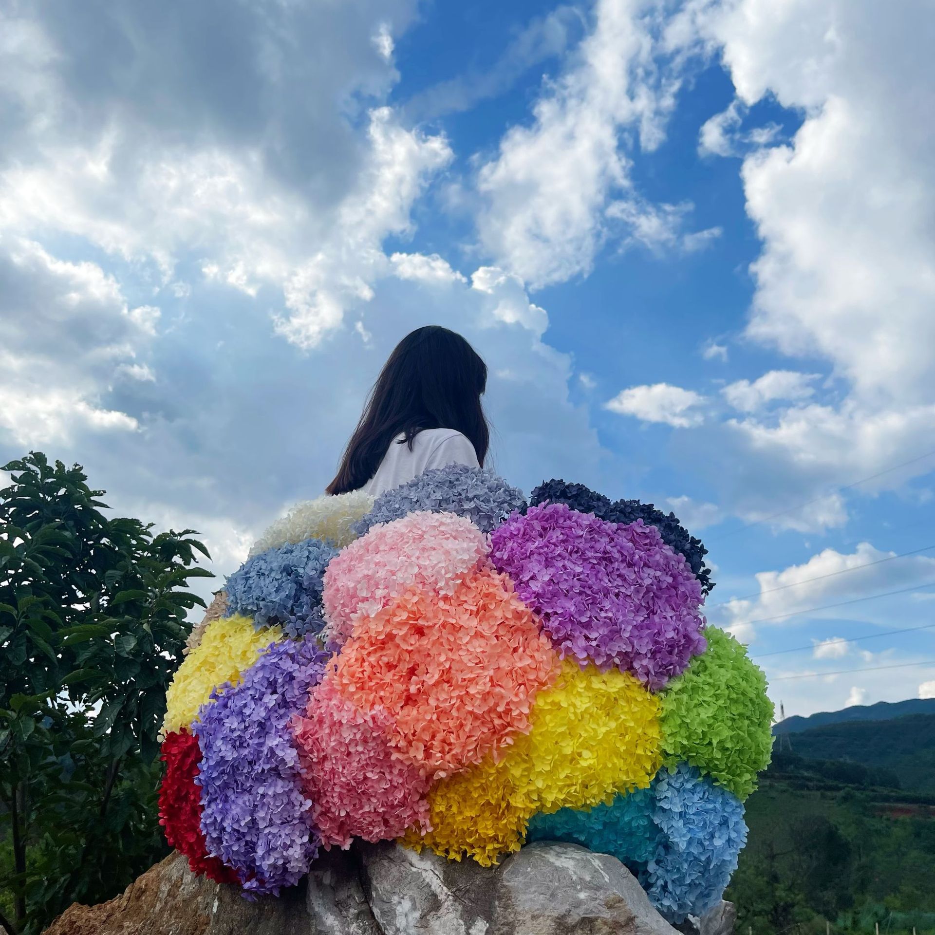 永生绣球永生花安娜绣球木绣球干花浮游花八仙花捧花云南工厂批发