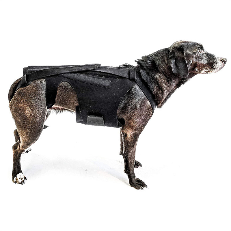 Amazon Explosions Dog Back Support IVDD Relieve Back Pain Relief Pain Injury Support Dog Vest