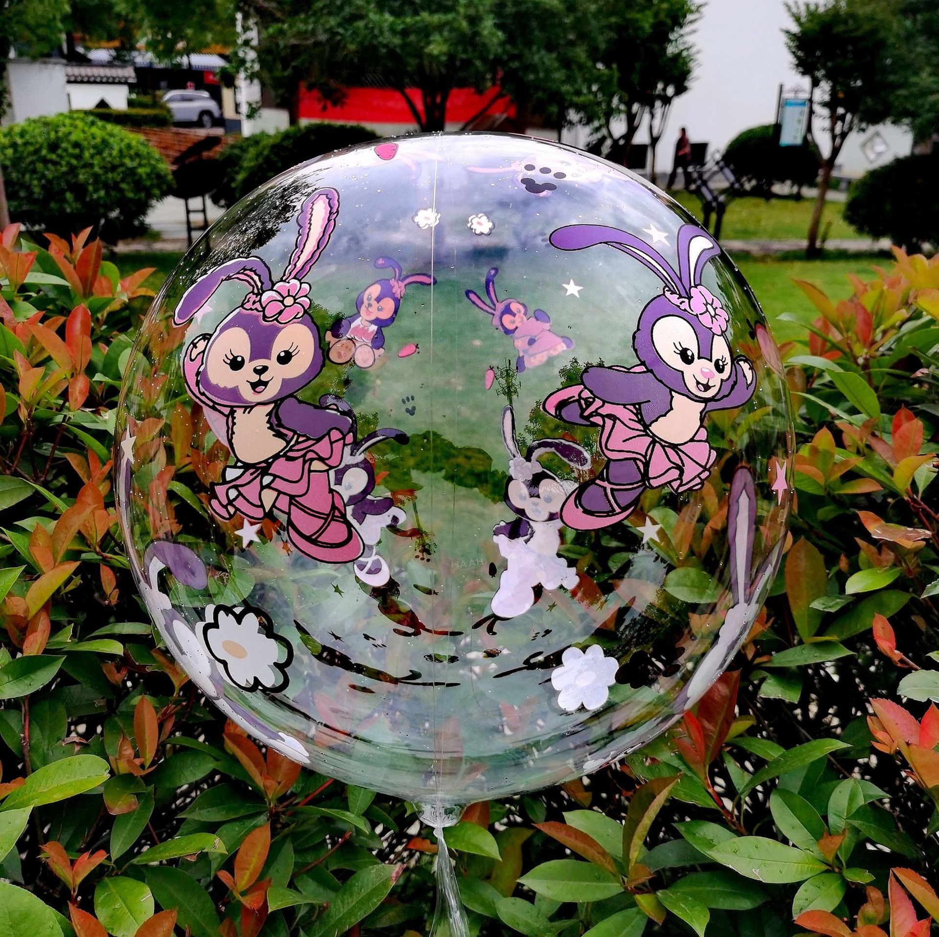 Net red wave ball printing ball 20 inch 24 inch printing ball double-sided printing empty floating party holiday supplies