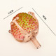 litchi torus