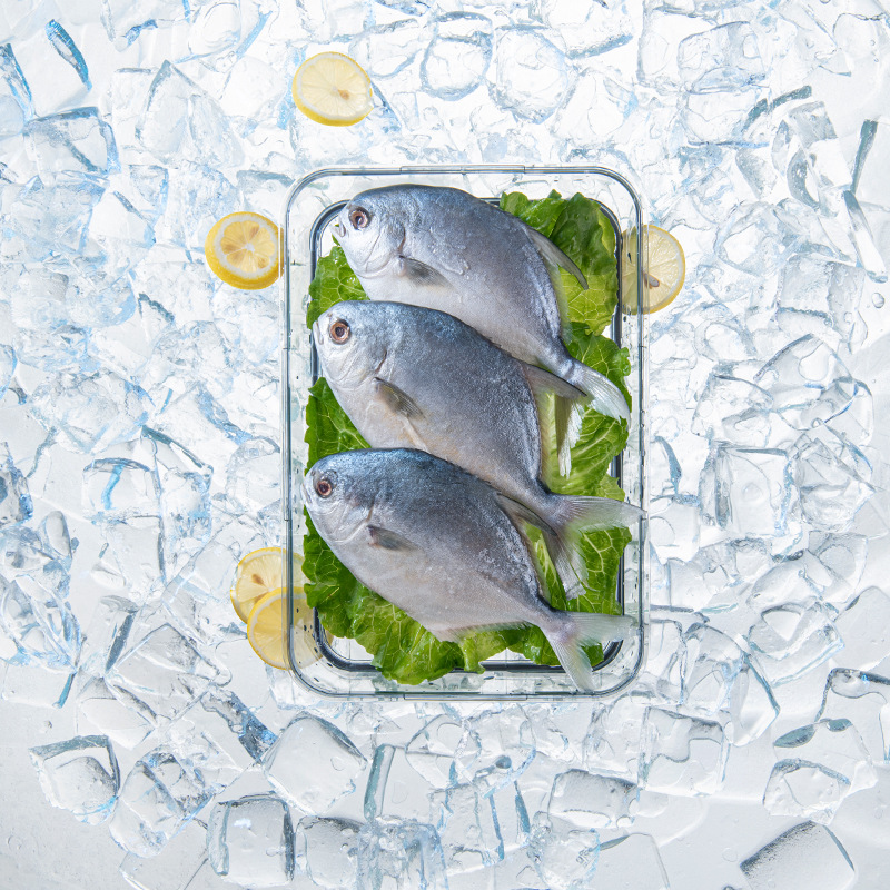 Strictly Selected Refrigerator Preservation Box Kitchen Finishing Timing Freezing Sealed Large Capacity Storage Box Plastic Transparent Preservation Box
