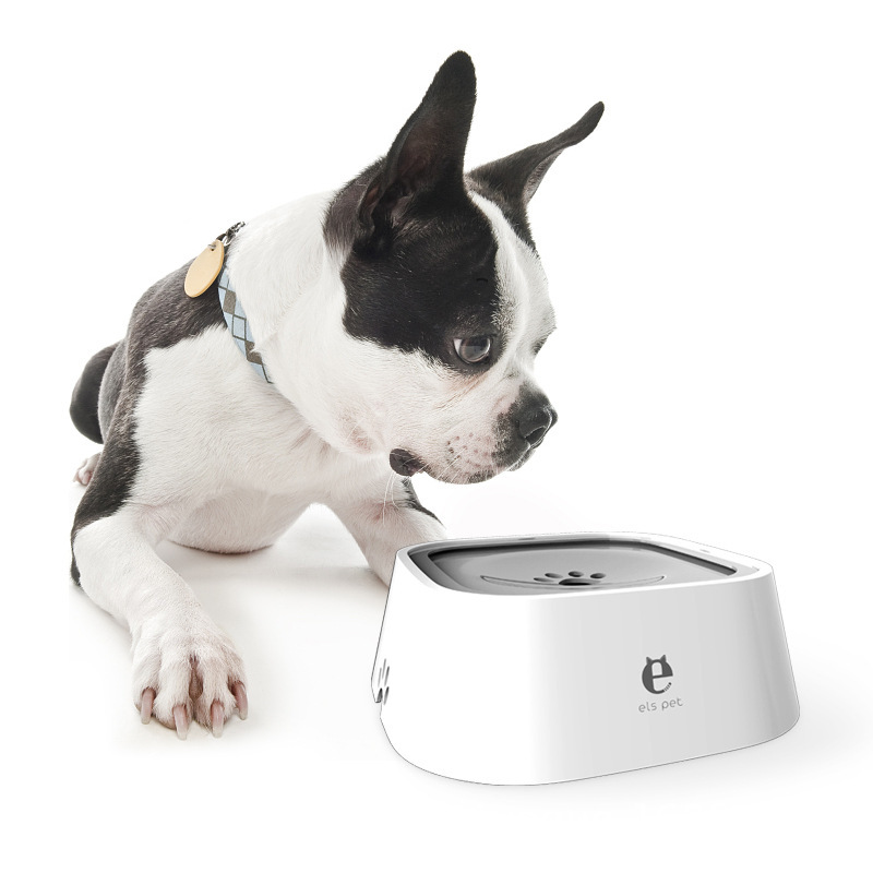 ペット用品犬猫は水を飲んでいます。|undefined