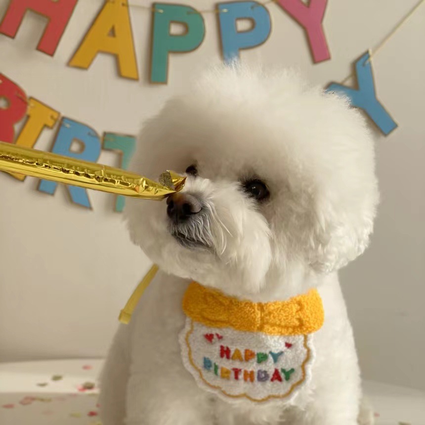 Korean dog dog Party Birthday Hat Bib dog Cat Pet Slippery Bag Slippery Towel Bichon Pet