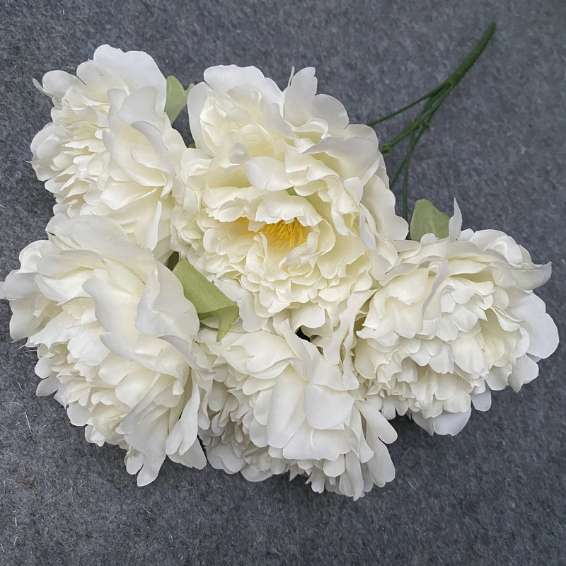Spring leafless cream White