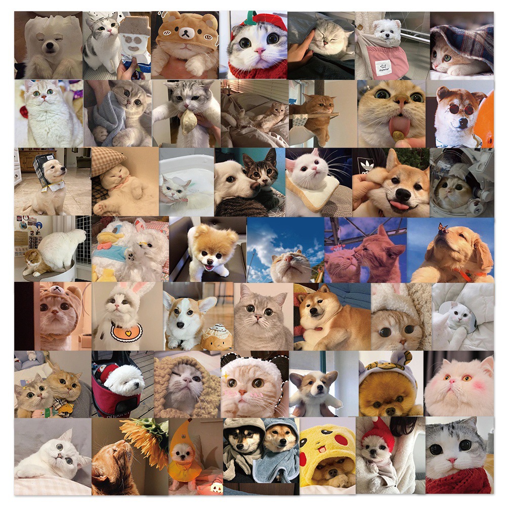 48 cute cat dog square graffiti stickers computer water Cup luggage skateboard stickers children's toy stickers