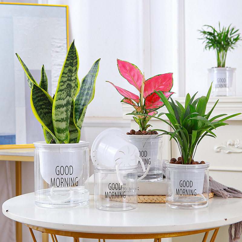 Automatic absorbent transparent lazy basin factory direct creative round office desktop green plant hydroponic plastic flower pot