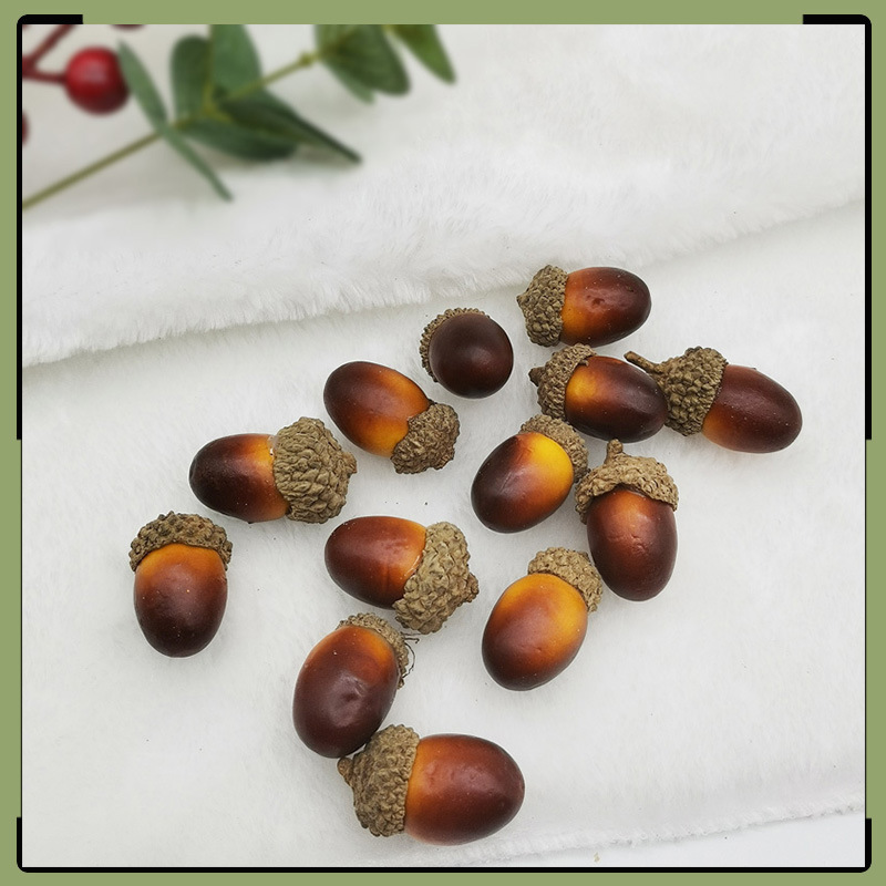 Dried flower material natural Acorn Acorn kindergarten DIY handmade material accessories shooting props simulation nuts