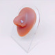 Nose clip