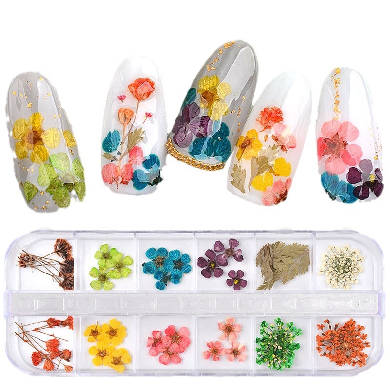 japanese-style-nail-art-dried-flowers-12-colors-sunflower-daisy-boxed-set-24-stems-beautiful-nail-flowers-cute-french-style