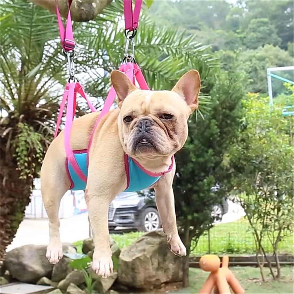 Cross-border pet cat and dog beauty hammock medium and small dogs beauty scissors nail suit pet cleaning auxiliary tool