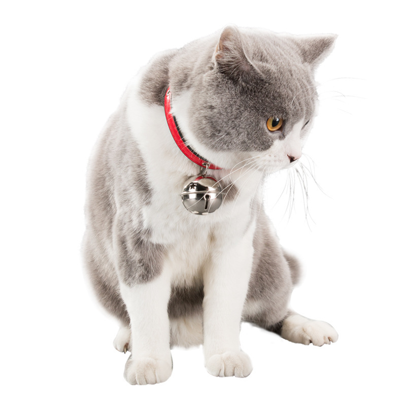 Новый Pet Paw Print Костяной сплав Белл Ошейник Маленький ошейник для собак Маленькая собака Тедди Кошка Товары для собак