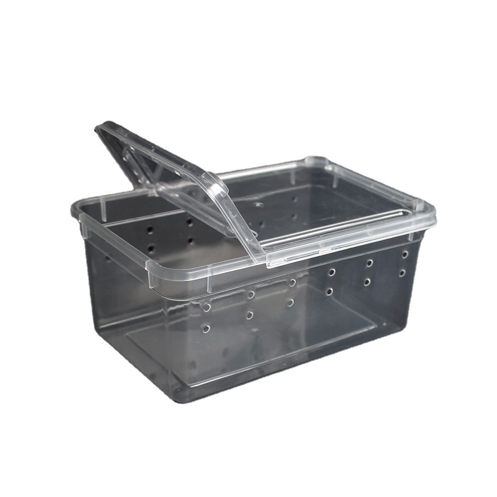 Reptile h3 Trumpet Feeding Box Pet Snail Climbing Pet Box Hermit Crab Spider Scorpion Horned Frog Lizard Insect Box