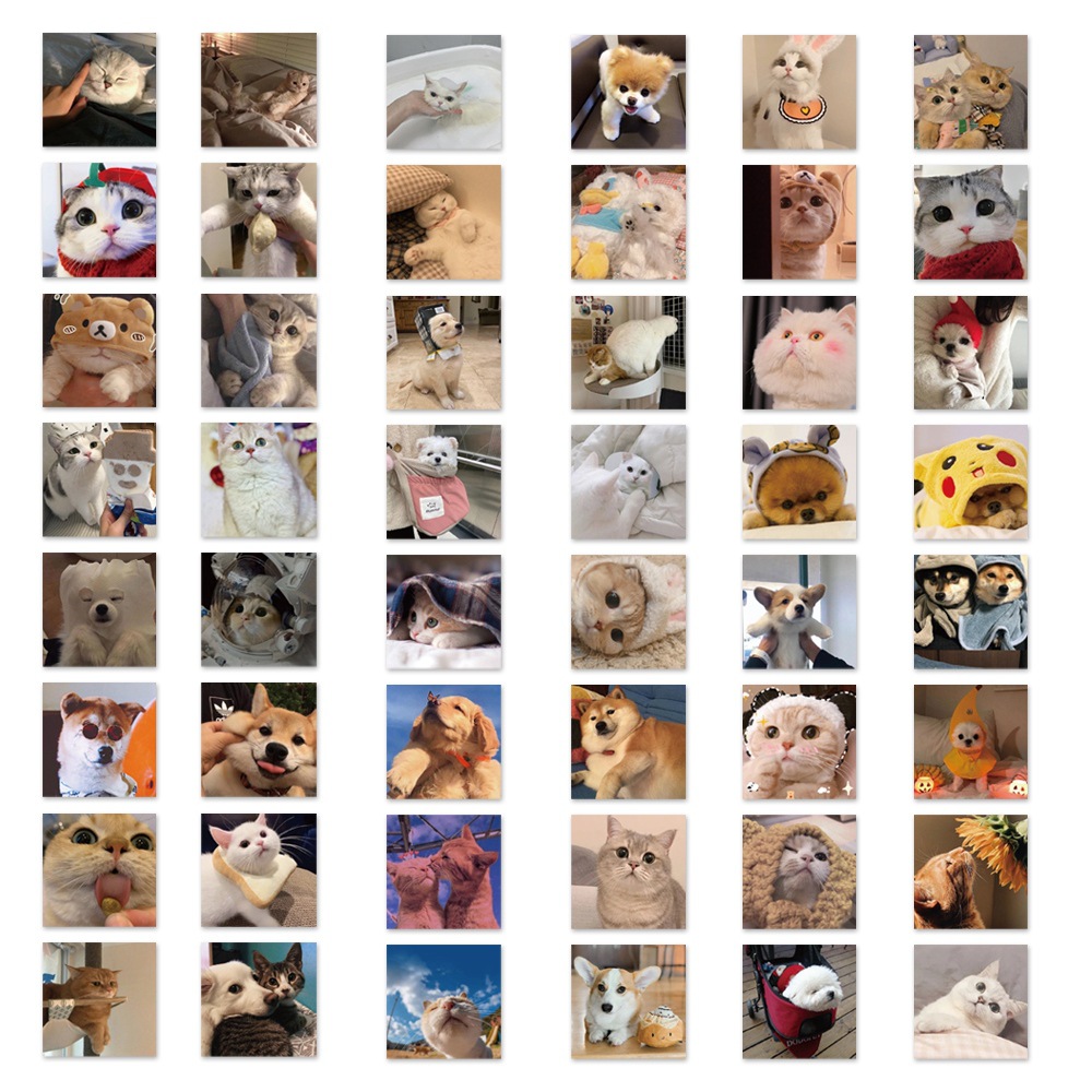 48 cute cat dog square graffiti stickers computer water Cup luggage skateboard stickers children's toy stickers