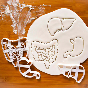 New Amazon Plastic Intestinal Stomach Liver Seal Grinder White Embossing Tool Human Organ Seal Mold