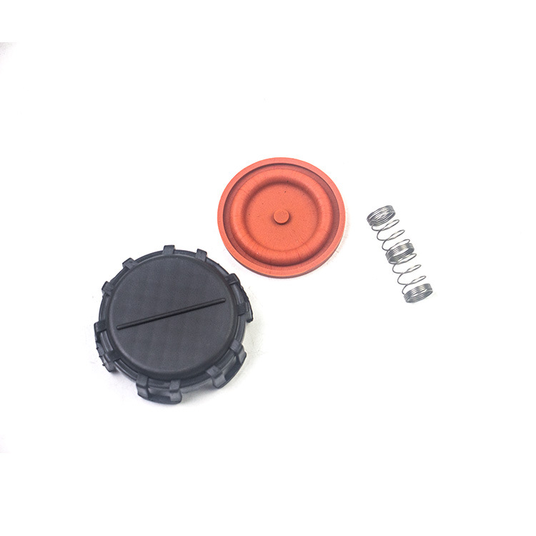 For Peugeot 206207307308 valve cover exhaust valve 0248L1 Citroen C2C5OE0248L1
