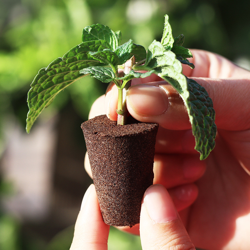 Seedling block Soilless culture Seedling substrate block Plant sowing box Cutting planting Hole plate Hydroponic vegetable planting cotton