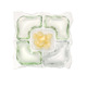 five-in-one camellia