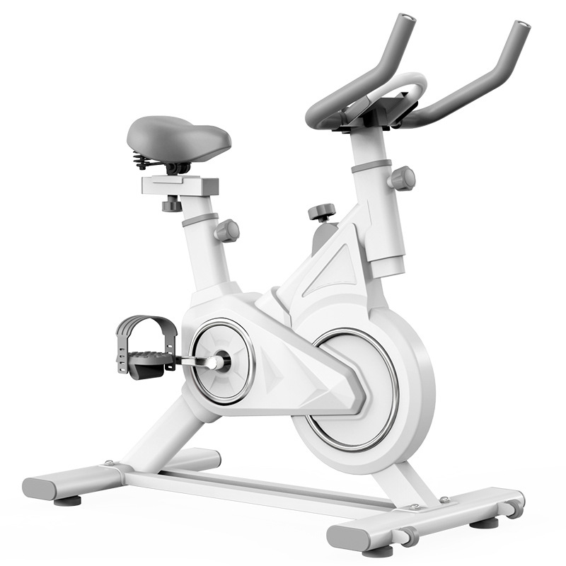智能动感单车磁控家用室内健身车健身房器材减肥超静音运动自行车