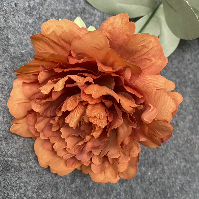 Autumn flower head autumn orange