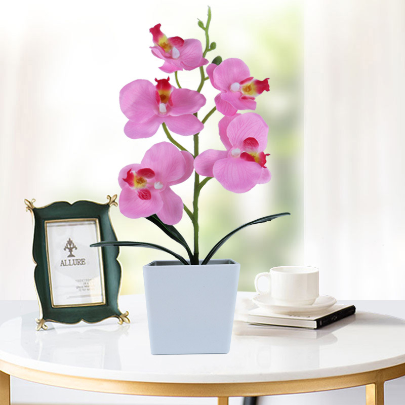 Simulation Phalaenopsis Simulation Potted Plant Nordic Floriculture Decoration Fake Flower Potted Plant Green Plant Small Bonsai Simulation Plant