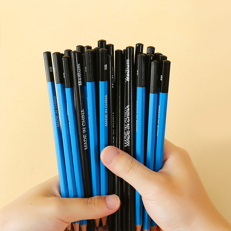 Great Sage Sketch Pencil 2b4b8B Painting Pencil Soft Medium Hard Carbon Pen Carbon Pen Art Painting Pencil Wholesale