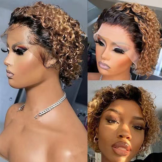 13x 4 Pixie Cut Wig Short Bob Curly Lace Front Wig