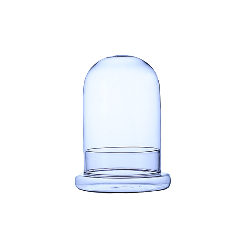 Valentine's Day Gift Eternal Flower Glass Cover Bell Cover Split Bottle Display Cover Fleshy Micro Landscape Glass Bottle