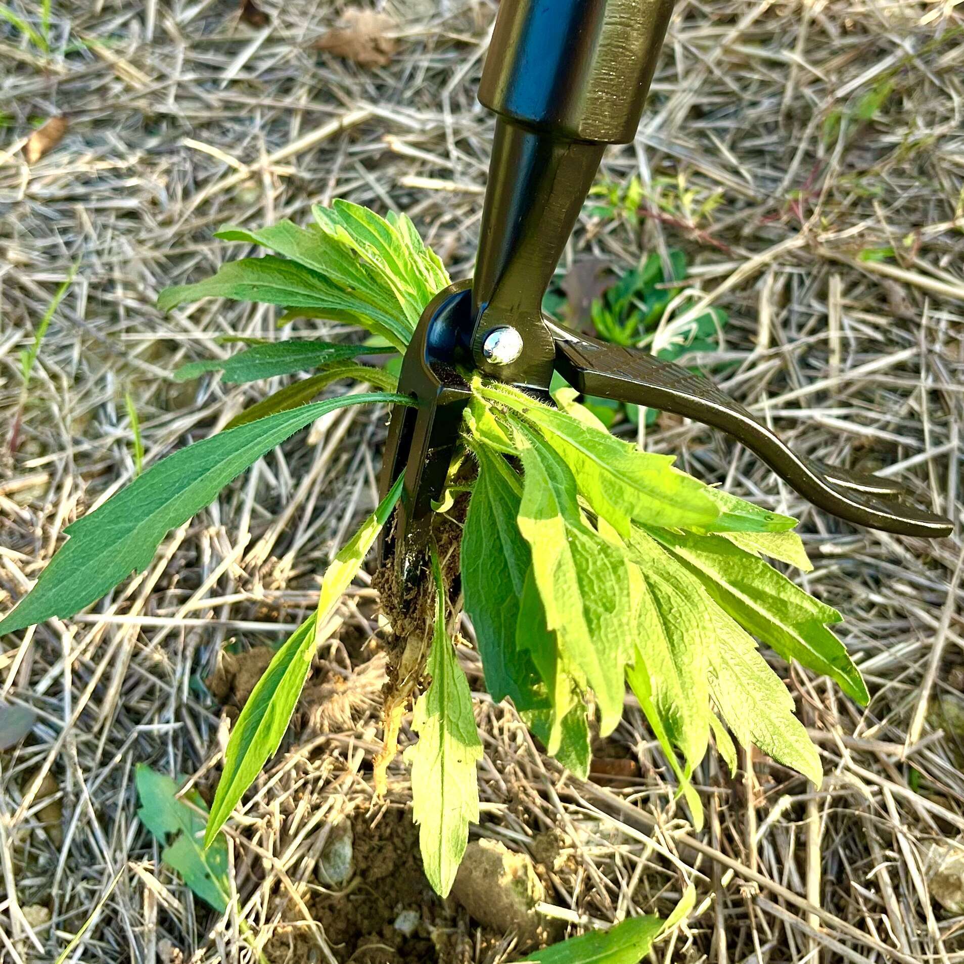 Cross-border new product standing weeding device manual weeding device root remover garden weeding device weed removal