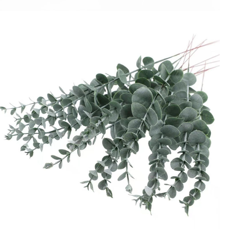Amazon simulation green plant 38cm single eucalyptus money leaf Nordic wind Gray plant bouquet