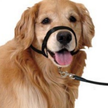 メーカー直売ペットの口カバーナイロン犬の口カバー犬の口の紐は防噛防爆冲ペットの訓練犬の紐と言います。|undefined