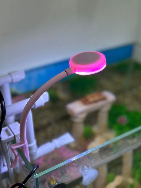 ミニ水槽 LED 防水クリップオン照明水生植物成長ライト小型タンク USB 照明藻類ライト|undefined