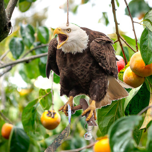 QN006 Cross-border Hanging Bird-driving Eagle Bell Pendant Pastoral Orchard Scare Bird Hanging Outdoor Decorative Wind Bell