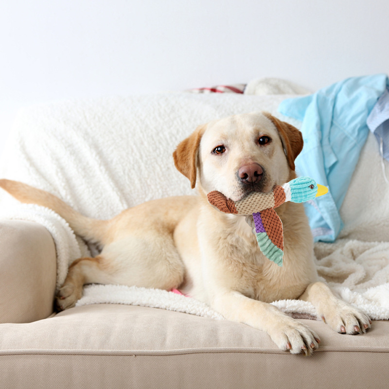 かわいいアヒルの形のぬいぐるみ犬のおもちゃ音声起動歯研削デンタルケア牽引インタラクティブペット用品|undefined