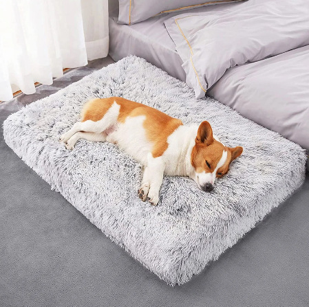 Plush square pet Nest Wave memory foam deep sleep dog sofa bed pet supplies factory wholesale