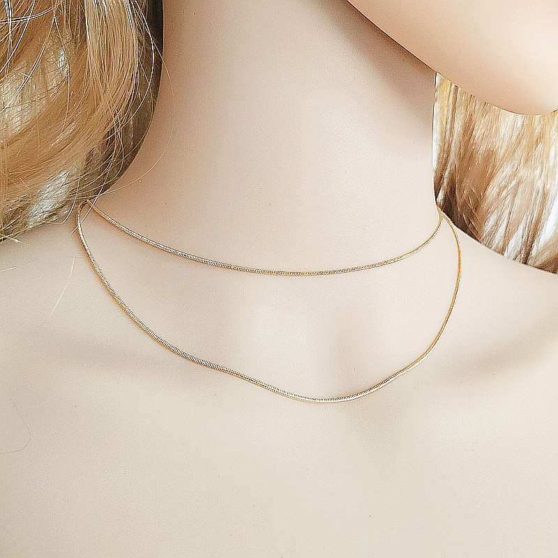 European and American Cross-border Stacked Wear Simple Niche Design Sense Women's Necklace Clavicle Chain Double-layer Chain Thin Snake Bone Chain Necklace
