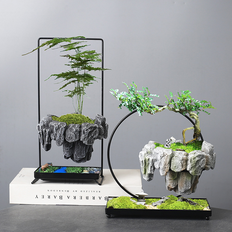 Cross-border asparagus fleshy basin rich tree bonsai iron tree rice bamboo indoor good breeding floating island suspended iron micro landscape basin