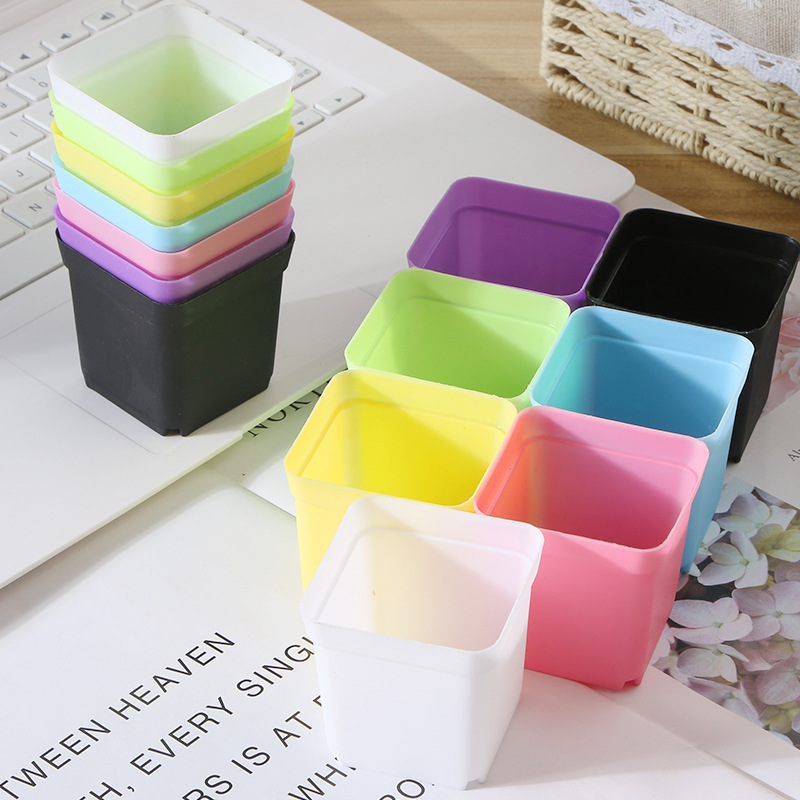 Multi-meat small square pot colorful flowerpot seedling super small square plastic flower pot 5.5cm black square cross-border hot selling