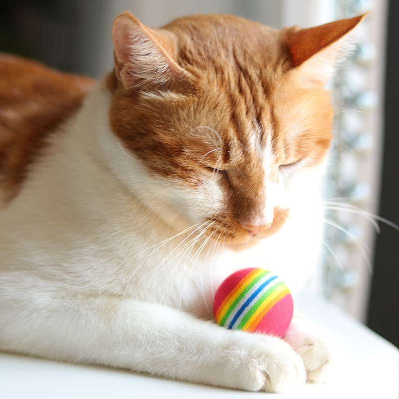 Cat toy rainbow ball explosion bubble stripe colorful toy ball micro elastic pet interactive supplies wholesale