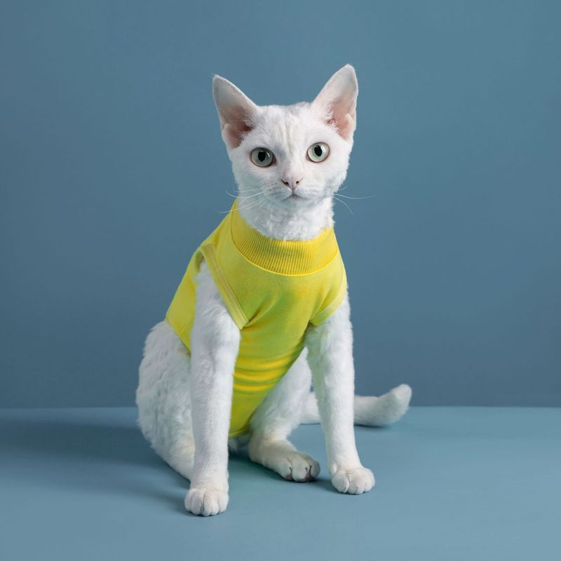 柔らかく快適な伸縮性のある術後猫服舐め防止噛みつきペット用品|undefined