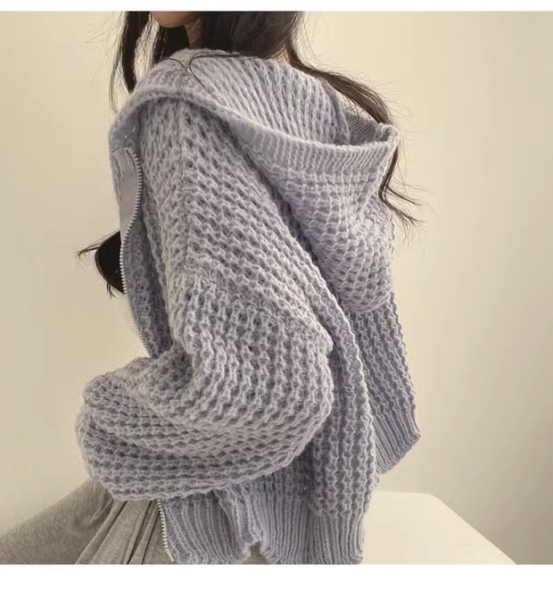 Kurzer Pullovermantel mit Kapuze 2023 Herbst und Winter Neuer Lazy Style Damendesign Dicker Nadelrevers Lockerer Pullover_voghion.com