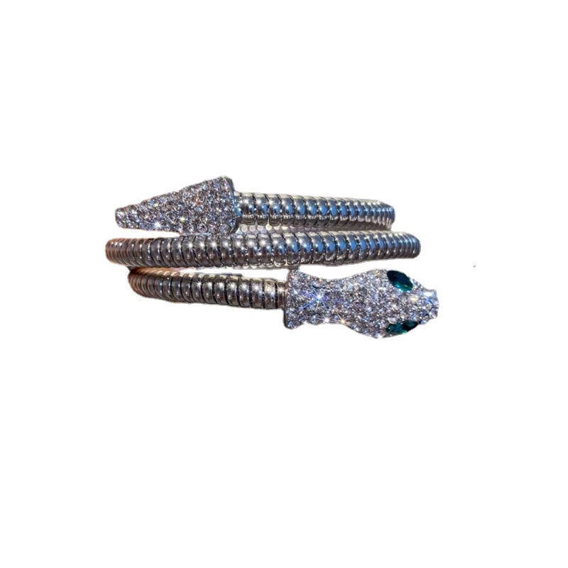 Fashion Exaggerated European and American Snake Bracelet Niche Design Spring Bracelet Trendy Personality Bracelet Spirit Snake Necklace Collar