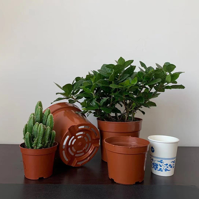 Fleshy Flower Pot Plastic Thickened Seedling Cup Net Bottom Pot Base Nursery Simple Root Control Green Plant Rigid Breathable Container